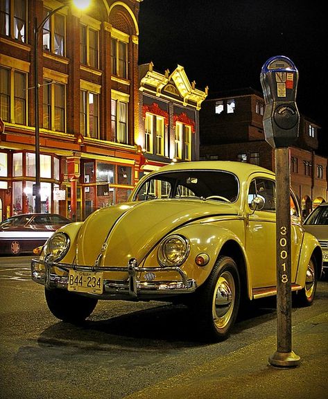 Punch Buggy, Car Stunt, Hot Vw, Vw Sedan, Volkswagen Bug, Beetle Car, Vw Beetle Classic, Ferdinand Porsche, Vintage Volkswagen