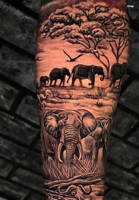 Safari Half Sleeve Tattoo, Safari Animal Tattoos Sleeve, Jungle Scene Tattoo, Shoulder Tattoo Animal, Safari Tattoo Sleeve Women, Africa Sleeve Tattoo, Safari Sleeve Tattoo, Safari Tattoo Design, Elephant Tattoo Sleeve