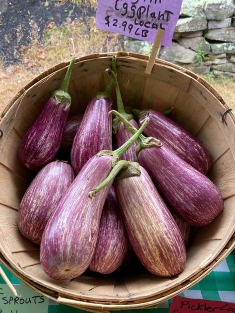 Aubergine Aesthetic, Aries Sun Scorpio Moon, Virgo Rising, Sun Scorpio, Scorpio Moon, Eggplant, Color Inspiration, Moon, Snacks