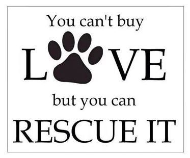 Rescue! Rescue Quotes, Stop Animal Cruelty, Rescue Dogs, Animal Quotes, Dog Quotes, An Animal, A Sign, Animal Shelter, I Love Dogs