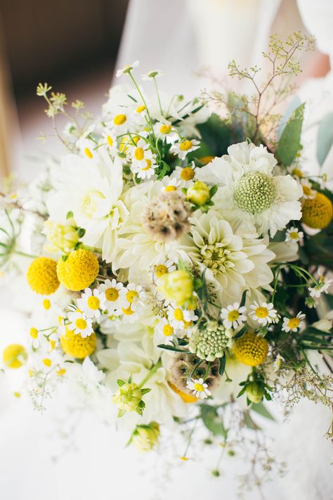 Yellow and White Bouquet with Craspedia, Scabiosa and Daisies Yellow Wedding Bouquet, Wildflower Wedding Bouquet, Yellow Wedding Flowers, Yellow Bouquets, Low Centerpieces, Spring Wedding Bouquet, Yellow Wildflowers, Daisy Wedding, Green Bouquet