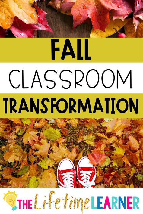 Fall Classroom Party 4th Grade, Pumpkin Patch Classroom Transformation, Fall Room Transformation Classroom, Fall Classroom Transformation, Class Picture Ideas Group Elementary, Fall Room Transformation, Class Pictures Ideas Group, Fun Facts About Fall, Fall Classroom Activities