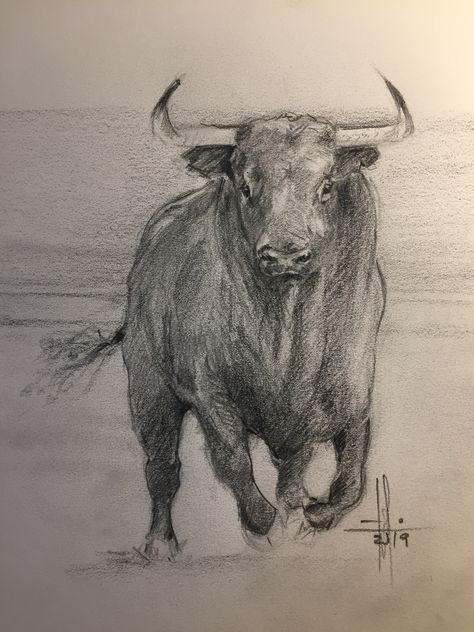 Bull Sketch, Bull Drawing, Cow Sketch, Dinosaur Sketch, Bull Painting, Western Prints, Bull Art, Bull Tattoos, Pencil Drawings Of Animals