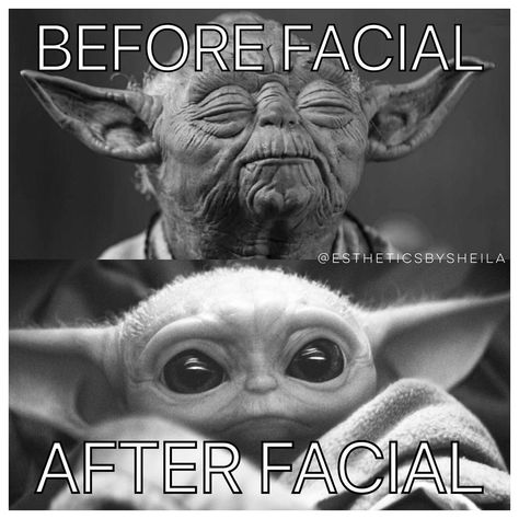 Esthetician Humor Funny, Esthetician Memes Funny, Esthetician Office, Esthetician Humor, Body Snatcher, Ear Nose And Throat, Esthetician Quotes, Homemade Face Mask, Skin Care Specialist