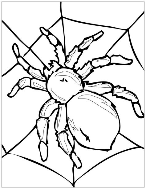 Tarantula Drawing, Spider Coloring Pages, Spider Template, Spider Printable, Art Insects, Printable Halloween Decorations, Spider Pictures, Insect Coloring Pages, Spider Coloring Page