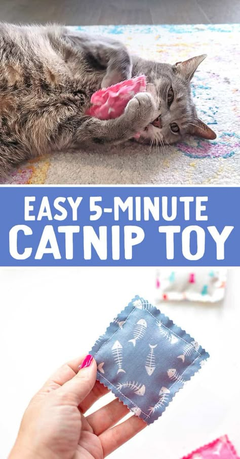 Sewing Projects For Cats Ideas, Making Cat Toys Ideas, How To Sew Cat Toys, Sewing For Cats Diy Projects, Diy Cat Toys To Sell, Cat Sewing Ideas, Sewing Projects For Cats, Things To Make For Cats, Home Made Cat Toys Ideas