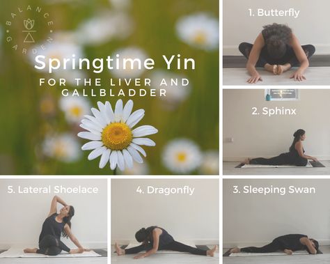 Spring Yin Yoga Sequence, Spring Equinox Yin Yoga Sequence, Yoga Tools, Yin Yoga Sequence, Laughter Yoga, Spring Yoga, Yoga Flows, Chi Energy, Yoga For Balance