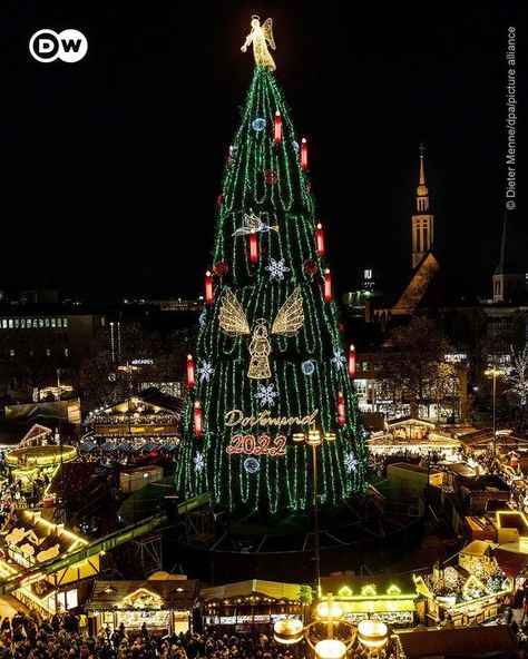 Once again, the "world's tallest Christmas tree" can be found in Dortmund! The tree, which is around 45 meters tall, is built from 1,000 spruces stacked on top of each other. This year, steps have been taken to reduce energy consumption. In line with the electricity-saving measures, the lights won't be on 24/7. Also, the local authority says LED technology uses less power than regular bulbs. Christmas Quiz, Germany Christmas, Tall Christmas Trees, Dortmund Germany, Reduce Energy Consumption, Reduce Energy, Save Electricity, Energy Consumption, Cologne Cathedral