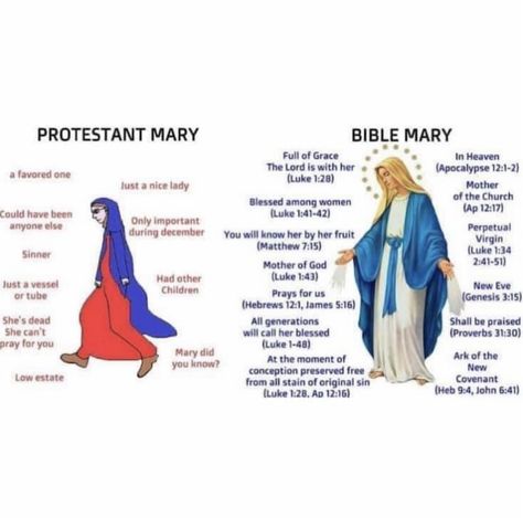 Catholic Theology, Catholic Humor, Catholic Memes, Catholic Beliefs, Christian Jokes, Catholic Quotes, Christian Memes, Blessed Virgin, Catholic Prayers