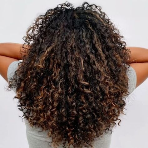 Curly Subtle Highlights, Light Brown Hair Colour Ideas, Lowlights For Black Hair Curly, Sunkissed Hair Brunette Dark Curly, Curly Sunkissed Hair, Subtle Highlights For Dark Hair Curly, Sunkissed Hair Brunette Curly, Sunkissed Black Hair, Sunkissed Curly Hair