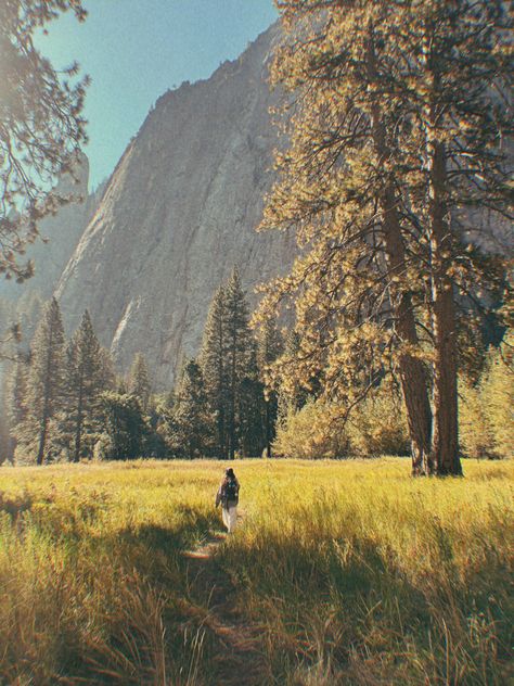 a walk through el cap meadow after work Vintage National Park Aesthetic, National Park Worker Aesthetic, National Park Film Photography, Yosemite National Park Aesthetic, Yosemite Aesthetic, National Parks Aesthetic, Yosemite Photoshoot, Yosemite Summer, National Park Aesthetic