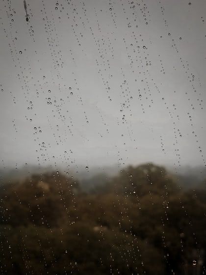 chairs beside large harp photo – Free Indoors Image on Unsplash Rain On Window, Rainy Wallpaper, Foggy Weather, Motion Wallpapers, Hd Wallpapers For Mobile, Forest Wallpaper, Photos Hd, Window View, Photo Tree