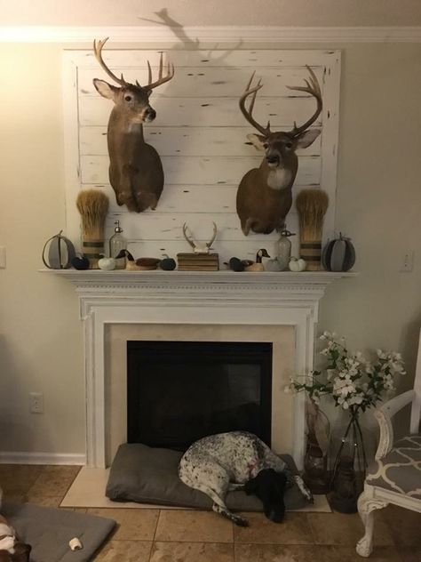 Wildlife Living Room Decor, Living Room Decor Deer Mounts, Bedroom With Deer Mounts, Mantel Decorating Ideas With Deer Mount, Farmhouse Living Room With Deer Mounts, Hunters Home Decor, Farmhouse Decor With Deer Mount, Deer Trophy Wall Display Ideas, Deer Head Above Fireplace