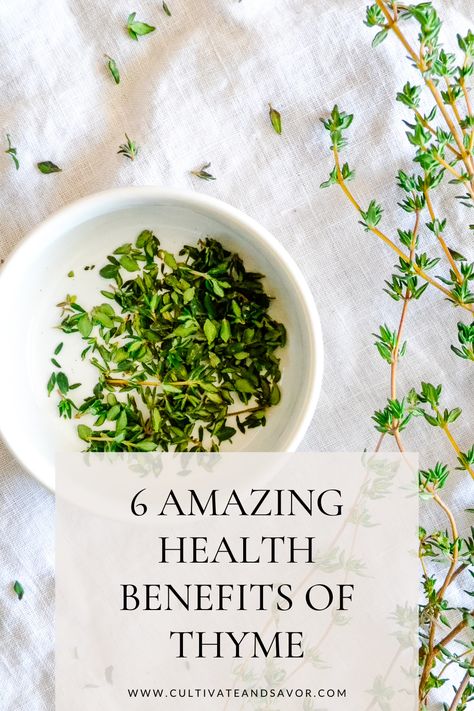 Thyme is a common kitchen herb that provides some powerful health benefits. Get to know more about the health benefits of thyme and some easy ways to use this herb. Thyme Tea Benefits, Benefits Of Thyme, Health Benefits Of Thyme, Thyme Benefits, Thyme Uses, Thyme Tea, Thyme Herb, Growing Healthy Hair, Kitchen Herbs