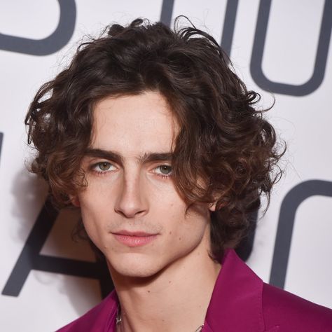 An Ode to Timothée Chalamet's Chiseled, Sharp, and Sexy Jawline Jawline Men, Chiseled Jawline, Androgynous Haircut, Androgynous Hair, Mens Haircuts, Timmy T, Stage Makeup, Timothee Chalamet, Hollywood Celebrities