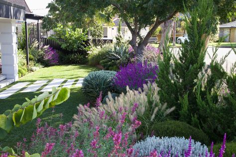 Garden Ideas Australia, Landscape Design Melbourne, Front Garden Ideas, Front Yard Plants, Front Gardens, Front Garden Design, Landscape Designer, Front Landscaping, Garden Designer