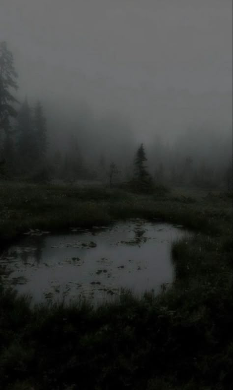 Dark Foggy Forest Aesthetic, Gloomy Foggy Aesthetic, Gloomy Dark Aesthetic, Dark Gloomy Aesthetic Wallpaper, Dark And Gloomy Aesthetic, Danicacore Aesthetic, Dark Naturalistic Aesthetic, Gray Nature Aesthetic, Jackiecore Aesthetic