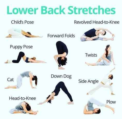 Lower Back Stretches Lower Back Stretches, Lower Back Pain Stretches, Yoga Poses For Back, Low Back Stretches, Lower Back Pain Exercises, Yoga Beginners, Yoga For Back Pain, Lower Back Exercises, Back Stretches