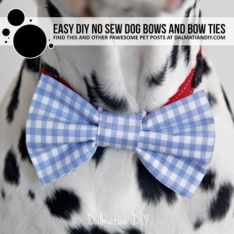 No Sew Bow Tie, Diy Dog Bow Tie No Sew, Cat Bowtie Diy, No Sew Dog Bow Tie, Dog Collar Bow Tie Diy, Bows For Dogs Diy, Dog Bow Tie Diy Free Pattern Printable, Dog Bow Ties Diy Free Pattern, Diy Dog Tie