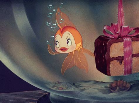 Pinocchio Cleo GIF - Pinocchio Cleo Goldfish - Discover & Share GIFs Pinocchio, A Cartoon, Goldfish, Cartoon Character, Gif, Fish, Disney