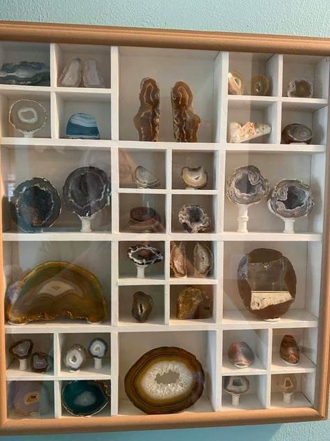 Gem Display, Mineral Display Ideas, Display Crystals And Stones, Mineral Display, Ways To Display Rocks, Collectible Display Ideas, Geology Home Decor, Rock Display, Rock Display Ideas