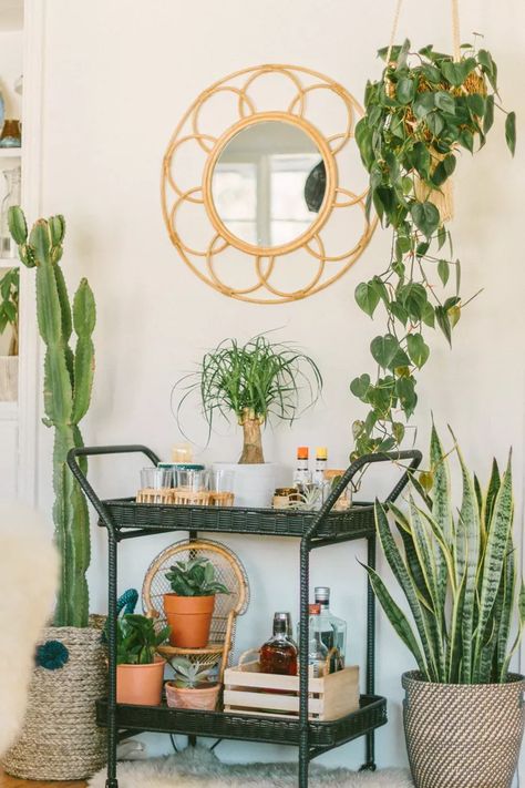 A Bar, Bar Cart, Potted Plants, Apartment, Mirror, Bar, Plants, Wall, Black