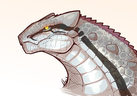 Laser 'Lizard' LLUIS on X: "@TieflingModesty I wonder 😏 https://t.co/i4oCmR9glR" / X Lizard Oc, Lizard Monster, Male Face Drawing, Face Drawing Reference, Sketchbook Inspiration, Monster Hunter, Art References, Dnd Characters, Male Face