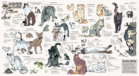 my drawins on Tumblr Clan Gen, Warrior Cats Clans, Cat Anatomy, Warrior Cats Fan Art, Warrior Cat Drawings, Warrior Cat Oc, Cat Oc, Cat Reference, Warrior Cats Art