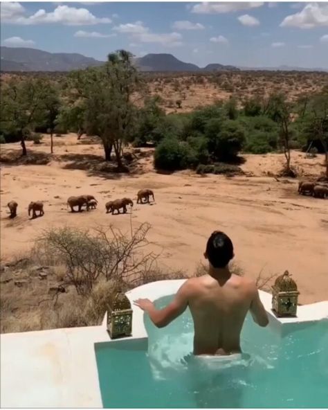 What an incredible view from this pool on the wild in the Samburu National Reserve in Kenya ! This region is home to an abundance of… Kenya Travel, Safari Travel, Travel Videos, Wild Things, Africa Travel, Beautiful Places To Travel, Travel Insurance, Solo Travel, Travel Experience