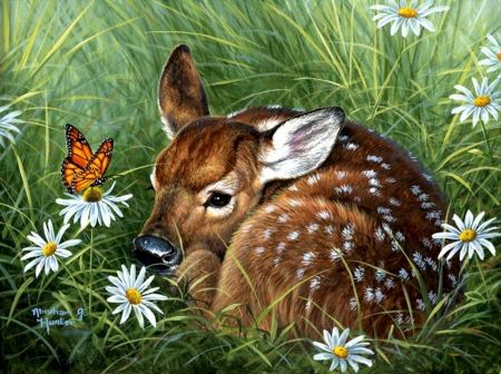 Tranquility - butterfly, flowers, meadow, daisies, insect, fawn, blossoms, artwork, painting Strong Painting, Inktense Pencils, Images D'art, Deer Painting, Deer Art, Whitetail Deer, A Deer, Baby Deer, 1000 Piece Jigsaw Puzzles