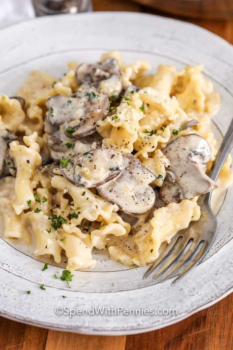 This campanelle recipe is topped with a creamy white sauce. Made with mushrooms, cheese, and heavy cream this sauce is the perfect creamy mushroom sauce. #spendwithpennies #mushroomcampanelle #pasta #mushroompasta #creamypasta #campanelle #maincourse Creamy Mushroom Sauce Recipe, Campanelle Pasta, Homemade Bolognese Sauce, Creamy White Wine Sauce, Vegan Mushroom Stroganoff, Mushroom Sauce Recipe, Goat Cheese Pasta, Mushroom Cream Sauces, Creamy Pasta Dishes