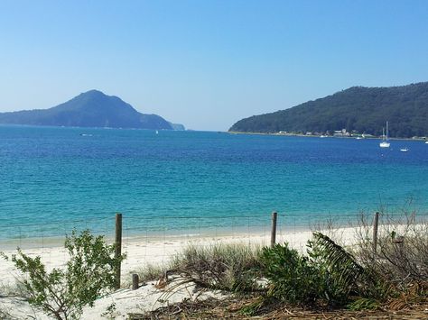 Shoal Bay, NSW, Australia Shoal Bay, Holiday Places, Nsw Australia, Beach Art, 2024 Vision, Nature Pictures, Life Is Beautiful, The Land, Places Ive Been