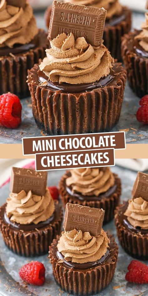 Mini Chocolate Cheesecakes, Cookie Crumb Crust, Chocolate Ganache Topping, Make Cheesecake, Mini Cheesecakes Easy, Crumb Crust, Mini Cheesecake Recipes, Chocolate Cheesecake Recipes, Chocolate Whipped Cream