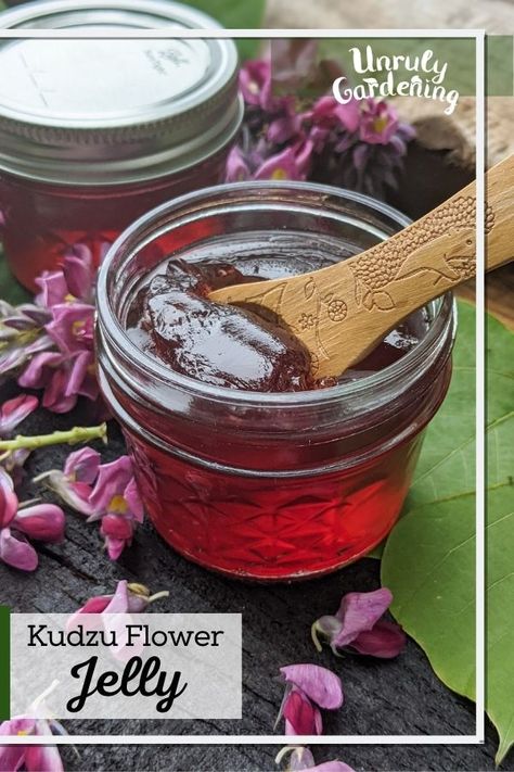 Make good use of invasive kudzu & turn the blossoms into jelly! Kudzu flower jelly tastes like grape and is delicious! Kudzu Jelly Recipe, Kudzu Recipes, Kudzu Flower, Jelly Labels, Jelly Homemade, Lilac Jelly, Fruit Butters, Cafe Recipes, Preserving Recipes