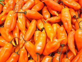 Aji Pepper, Peruvian Chicken, Growing Peppers, Hot Sauce Recipes, Homemade Condiments, Peruvian Recipes, Hottest Chili Pepper, Hot Pepper, Chilli Pepper