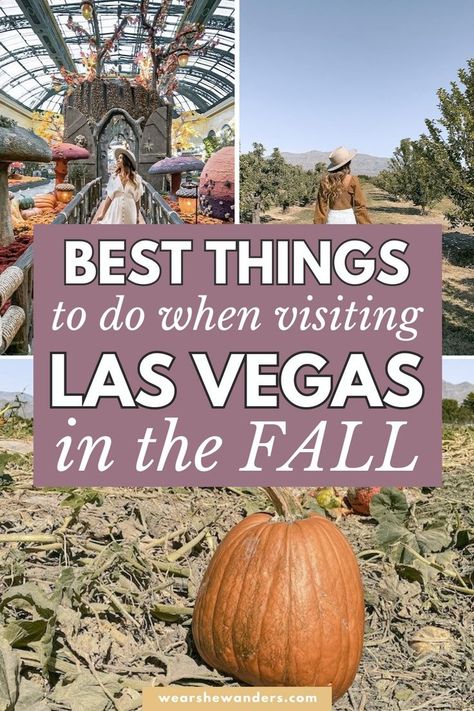 Las Vegas In September, Vegas In November, Vegas In October, Las Vegas October, October Events, Vegas 2023, Vegas Travel, Women Traveling, Las Vegas Vacation