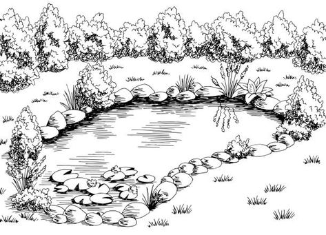 Minecraft Pond, Small Pond Ideas, Pond Drawing, Dragonfly Illustration, Dragonfly Drawing, Ideas Sketch, Landscape Pencil Drawings, Watercolor Dragonfly, Landscape Design Drawings