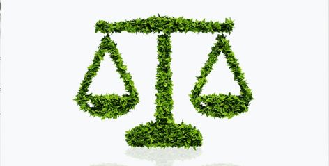 What You Need To Know About An Environmental Law Career Environmental Law Aesthetic, Environmental Lawyer, Lover Archetype, Law Career, Law Tattoo, Inspirational Aesthetic, Law Students, Material Research, Environmental Law