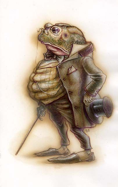 Mr Toad, The Wind In The Willows, Wind In The Willows, Frog Illustration, Frog Art, A Frog, Frog And Toad, Creature Design, Whimsical Art