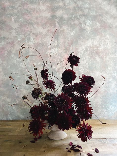 Tips On How To Create An Autumn Arrangement With Flower Expert Kristen Griffith-VanderYacht — Rose & Ivy Burgundy Dahlia, Flower Games, The Resident, Shades Of Burgundy, Church Flowers, Burgundy Flowers, Floral Designer, Seasonal Flowers, Black Flowers