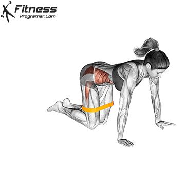 Fire Hydrant Workout, Dumbbell Back Workout, Leg Workouts Gym, Pilates Workout Plan, Fire Hydrants, Best Resistance Bands, Gluteal Muscles, Glute Exercises, Abs Workout Gym