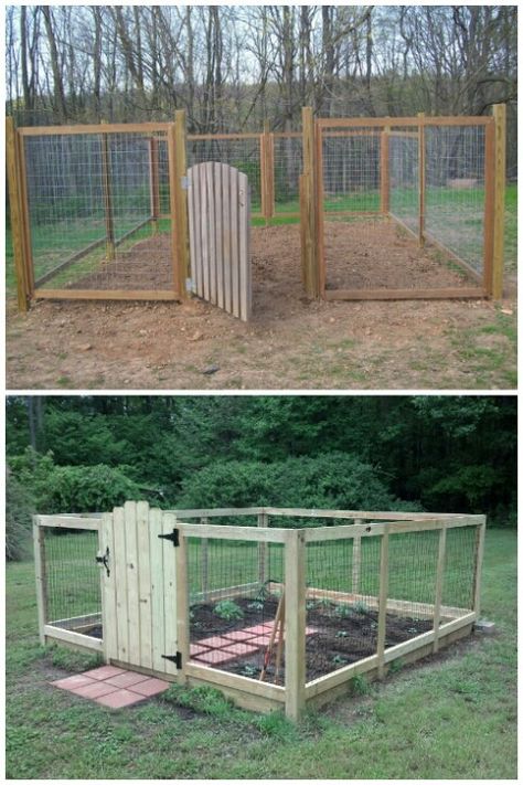 Cercado para horta Deer Resistant Garden, Chicken Coop Garden, Deer Proof, Diy Garden Fence, Deer Fence, Plants Diy, Cheap Fence, Fence Garden, Pallet Patio