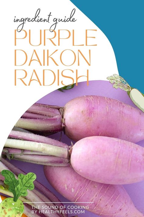 The ultimate ingredient guide for purple daikon radish, a colorful cruciferous vegetable that tastes subtly sweet when eaten raw. Learn what it is, how to buy and store it, its culinary uses, and all the info you need to use it in your recipes with confidence. By Cindy Chou, RDN and chef @thesoundofcooking on healthyfeels.com via @thesoundofcooking Purple Radish Recipe, Purple Daikon Radish Recipes, Daikon Radish Recipes, Purple Radish, Kohlrabi Soup, Roasted Turnips, Purple Vegetables, Daikon Radish, Cantonese Cuisine