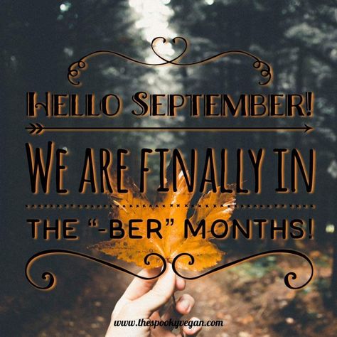 Hello October Quotes Funny, Hello Ber Months, Ber Months Quotes, Hello October Quotes Halloween, Hello October Quotes Inspirational, New Month Wishes October, Happy New Month October Design, Hello October Quotes, September My Favourite Month