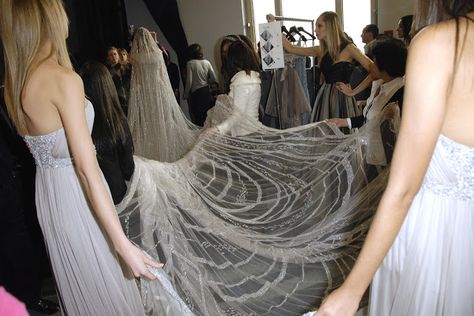 spider web veil Spider Web Veil, Beetlejuice Wedding, Bridal Inspiration, Wedding Veil, Bridal Couture, Elie Saab, Dream Wedding Dresses, Spider Web, Dream Dress