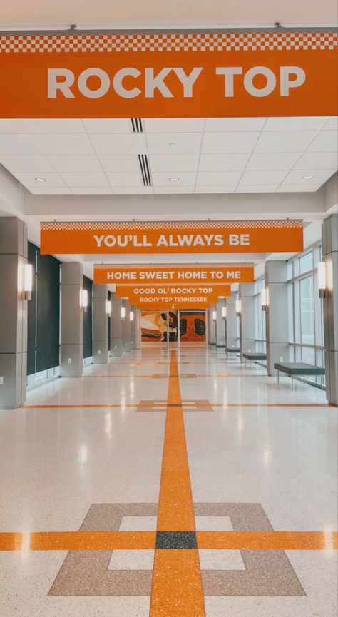 University If Tennessee, Tennessee Football Aesthetic, Utk College Aesthetic, Tennessee University Aesthetic, Vols Aesthetic, Knoxville Tennessee Aesthetic, Tennessee Vols Aesthetic, University Of Tennessee Aesthetic, Tennessee Vols Wallpaper