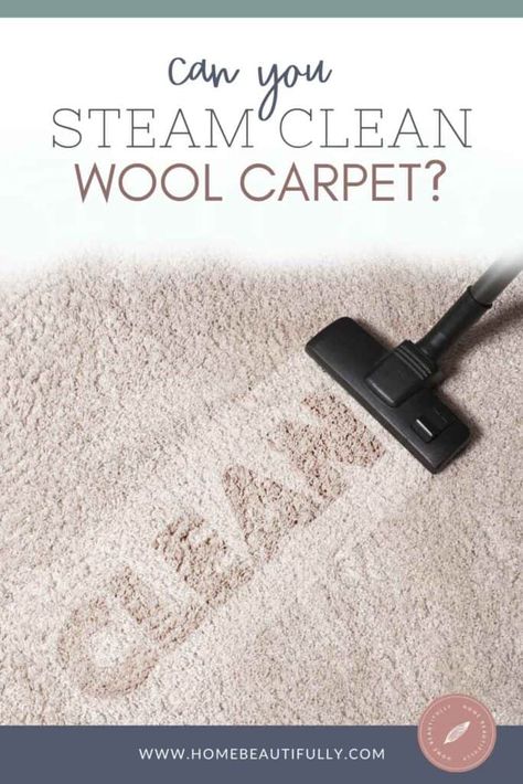 Cleaning Wool Rugs, Cleaning Wool Rugs Diy, How To Clean A Wool Rug At Home, How To Clean A Wool Rug, Rug Cleaning Solution, Clean Wool Rug, Carpet Steamer, Steam Clean Carpet, Removing Carpet