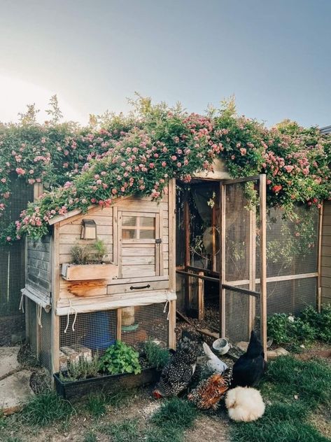 Chicken Coop Photography, Outdoor Garden Wall Ideas Decorative, Chicken Coop Decoration Ideas, 3 Chicken Coop, Homestead House Exterior, Simple Farm Life Aesthetic, Chicken Village Ideas, Dark Green Chicken Coop, Glam Chicken Coop