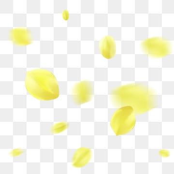 drifting yellow petal,hand painted yellow petals,floating material,yellow flower,yellow,floating petals,small petals scattered in the air,falling flowers,golden flower Floating Petals, Yellow Rose Petals, Falling Gif, Floating Material, Falling Flowers, Yellow Petals, Flower Yellow, Golden Flower, Wedding Background