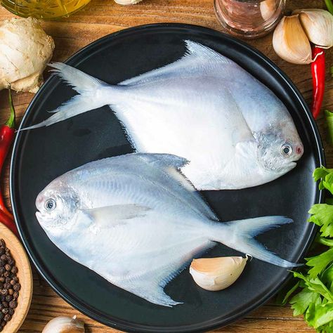 Pomfret Fish Photography, Fresh Fish Photography, Fish Food Photography, Pomfret Fish, Fish Photography, Background Food, Monsoon Season, Cleaning Fish, Mustard Oil